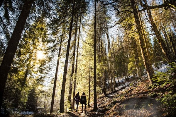 Écotourisme: 10 activités durables à découvrir!
